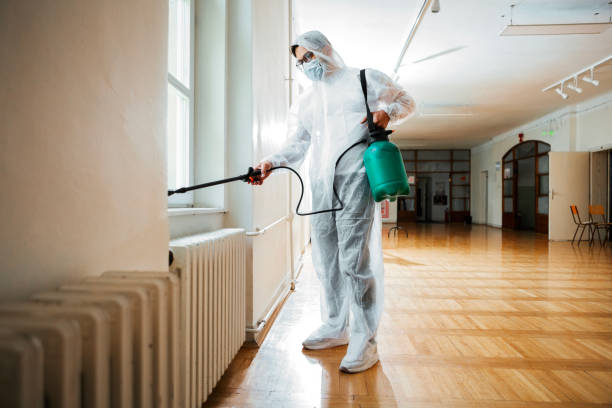 Best Fumigation Services  in Apple Creek, OH